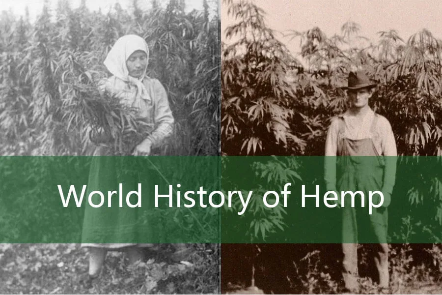 Die Entwicklungsgeschichte des Hanf- und Produktgebrauchs 5 World History of Hemp