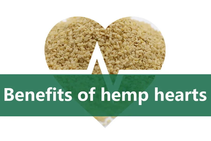 4 wichtigsten Vorteile von Hanfherzen! 7 benefits of hemp hearts