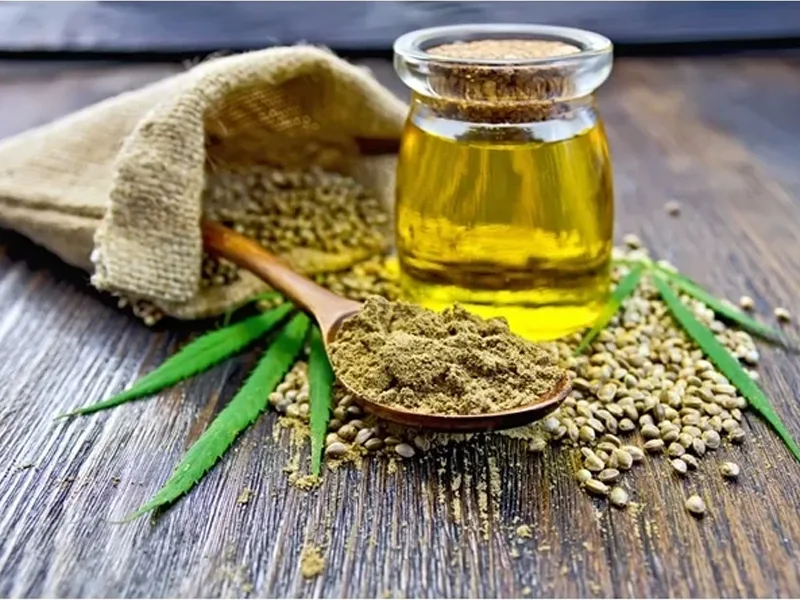 Nachhaltigkeit durch ökologischen Hanfanbau und die Produktion von Hanfsamenöl 2 hemp seed oil