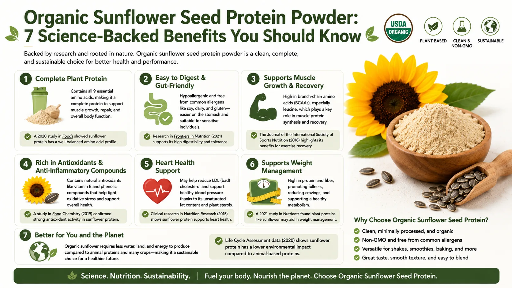 Bio-Sonnenblumenkern-Proteinpulver: 7 wissenschaftlich belegte Vorteile, die Sie kennen sollten 11 Organic Sunflower Seed Protein Powder 7 Science-Backed Benefits You Should Know